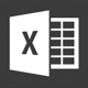 MS Excel Version